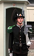 "Palace_guard_at_the_royal_palace,_Oslo.jpg" by User:Kjetil r