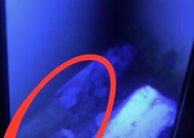 One of the photos taken under the bar at the Rhuddlan Golf Club.