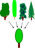"Generalization_process_using_trees.svg" by User:Bilde2910